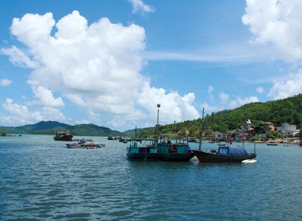 ngocvung3.jpg