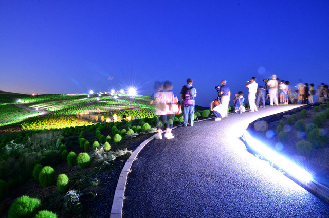 ngon-doi-622102018093635.jpg