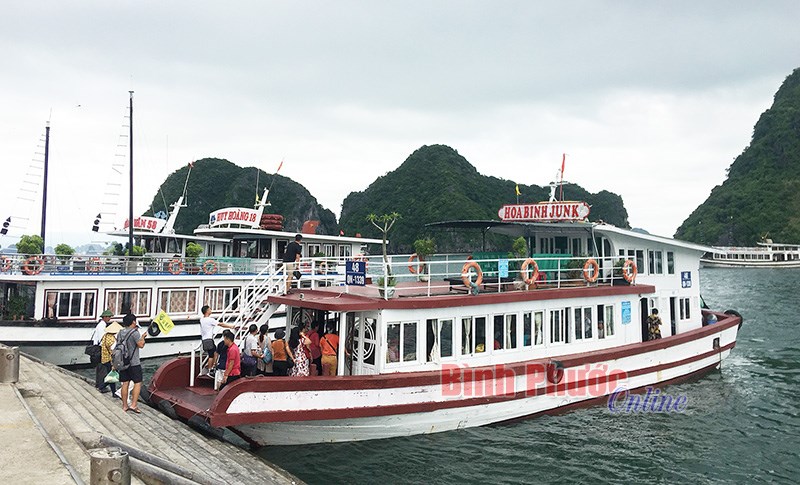 Ngỡ ngàng với Hạ Long