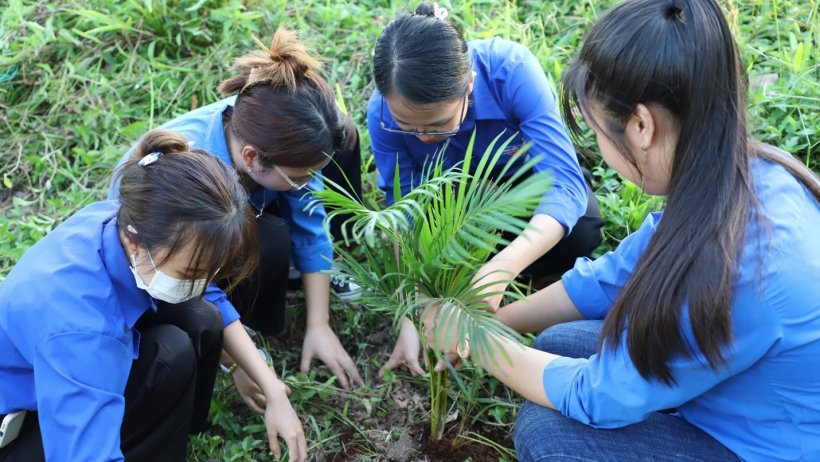 Người bạn áo xanh
