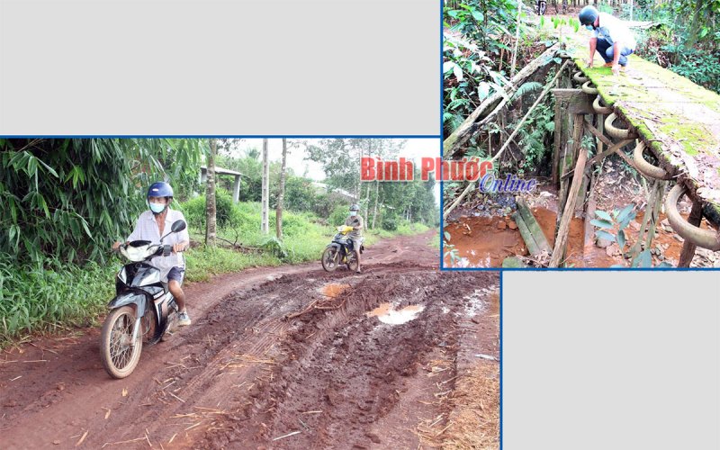 Người dân Suối Cam mòn mỏi chờ đường