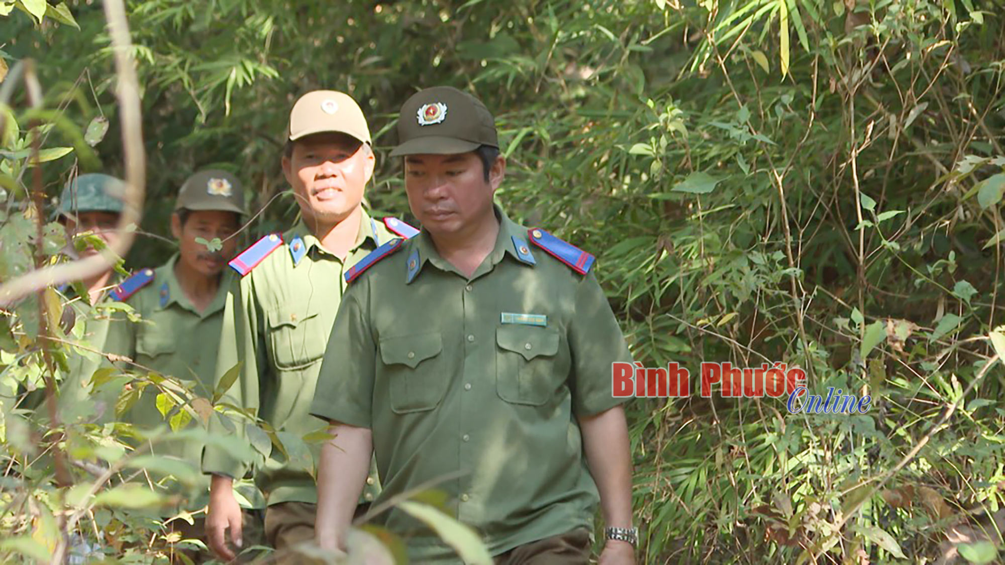 Người giữ “đại ngàn” mãi xanh