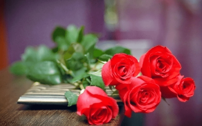 Người phụ nữ khéo léo