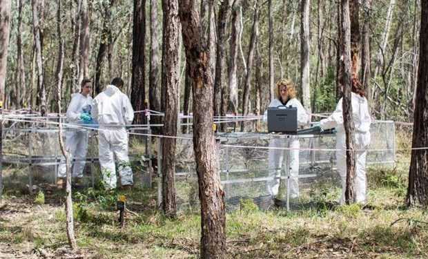 Nhà khoa học Australia: Cơ thể người chết vẫn có thể dịch chuyển
