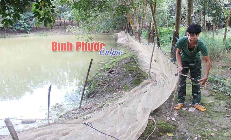 Người dân xã Thuận Lợi mong được hỗ trợ ngập phát sinh từ hồ Đồng Xoài Người dân xã Thuận Lợi mong được hỗ trợ ngập phát sinh từ hồ Đồng Xoài