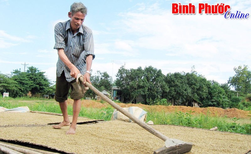 Người dân thôn 1, Đăng Hà muốn được là... người Bình Phước