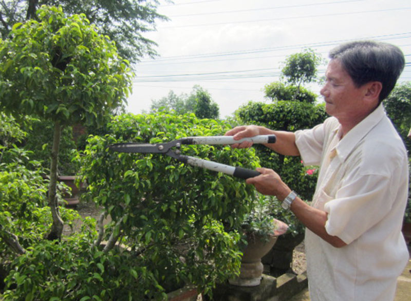 nguoithuongbinh.jpg