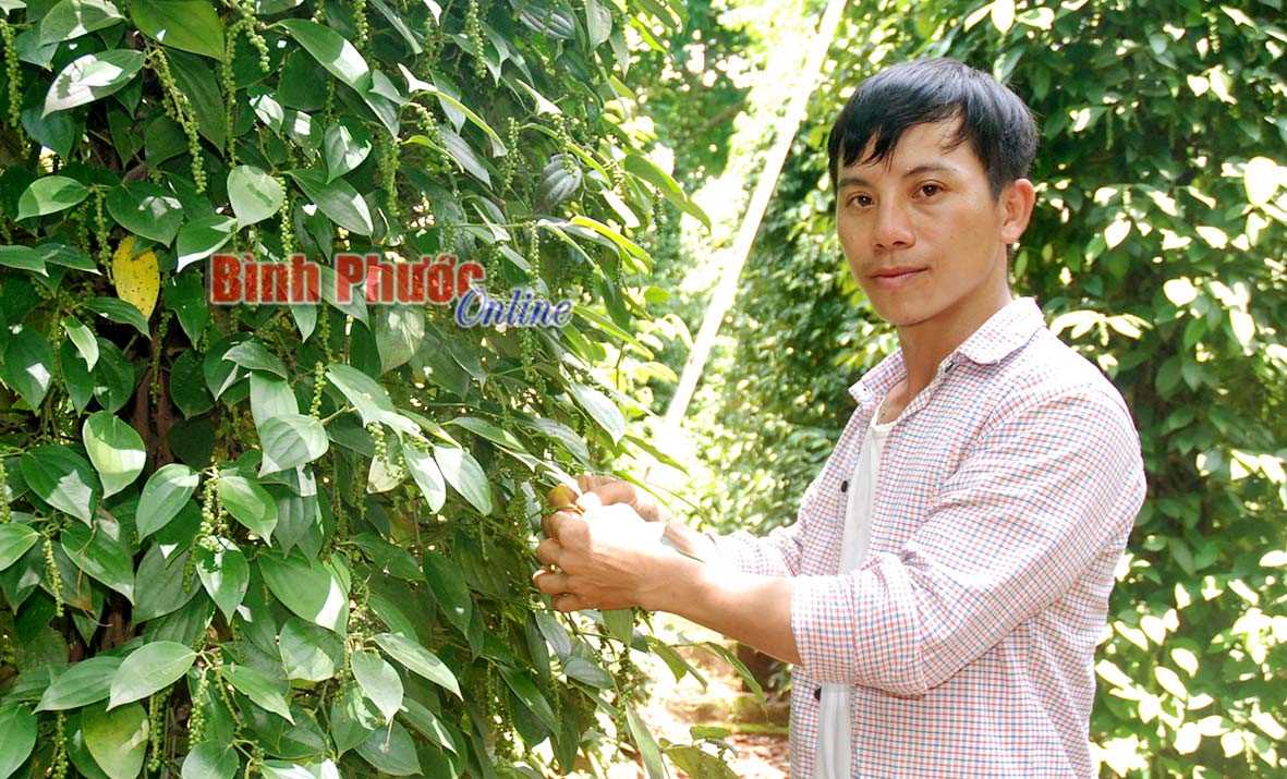 Tuổi trẻ xung kích đổi mới nông thôn Tuổi trẻ xung kích đổi mới nông thôn