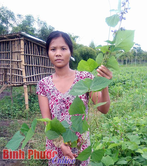 nguyco.jpg