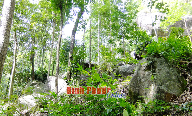 Nguy cơ “bà hỏa” viếng thăm Bà Rá