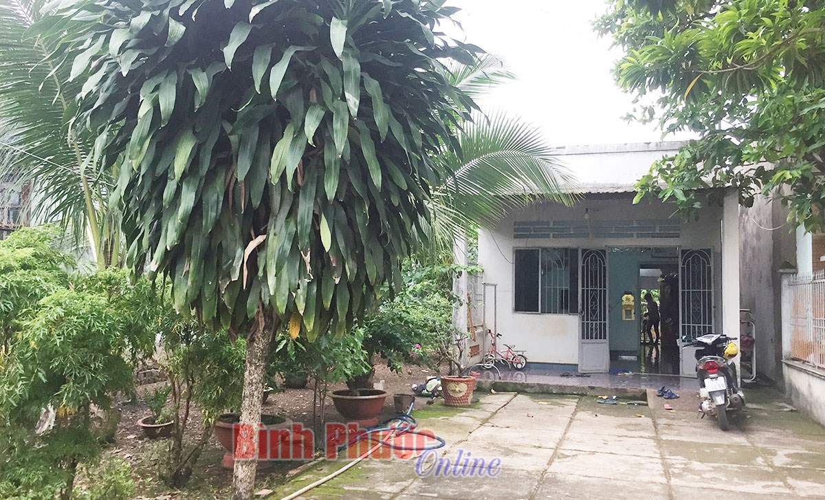 Nguy cơ mất nhà vì tắc trách của cán bộ địa chính