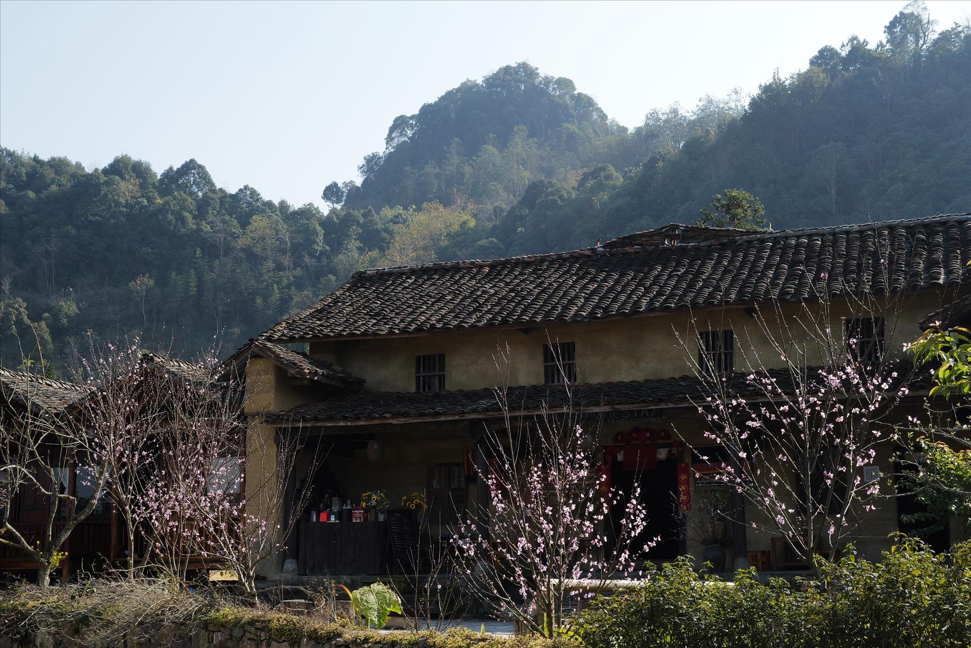 nguyen-thang-dao-27-10-49-0.jpg