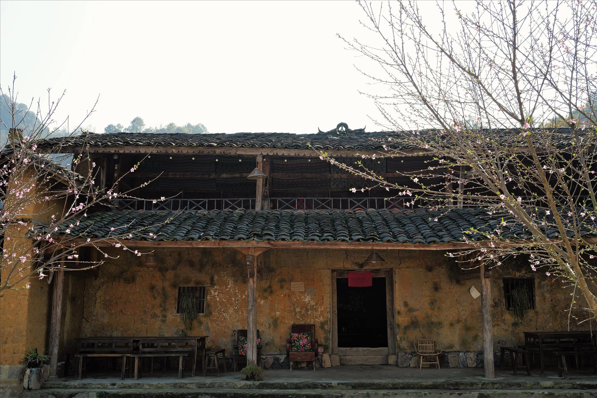 nguyen-thang-dao-47-10-55-19.jpg