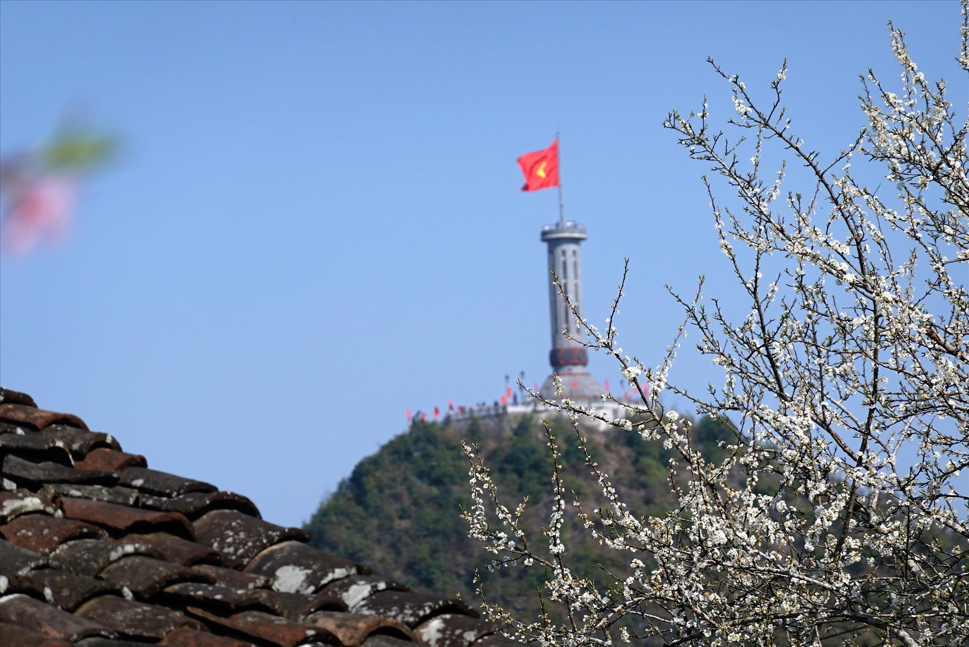 nguyen-thang-man-17-14-41-52.jpg