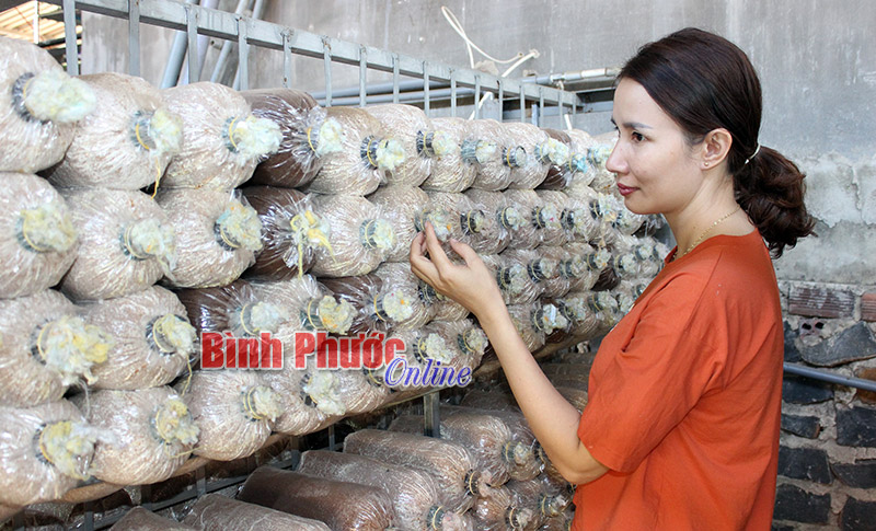 nguyen-thi-ly-125042019031459.jpg