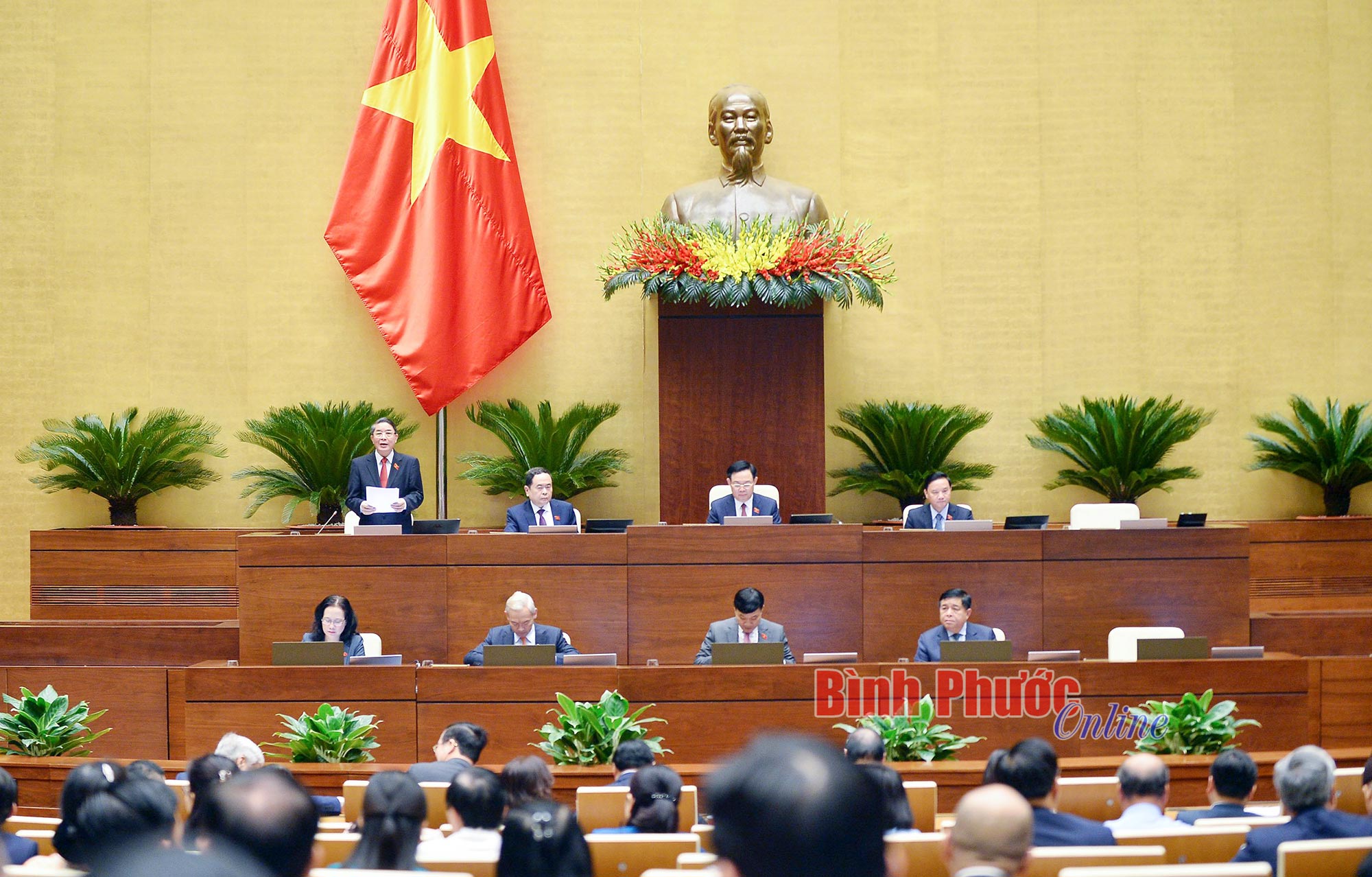 nguyen_duc_hai_11264327102022.jpg