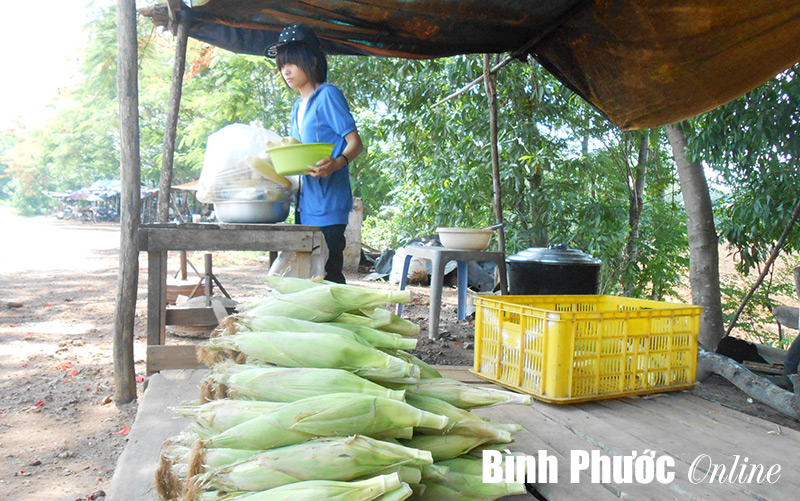 nguyhiem.jpg