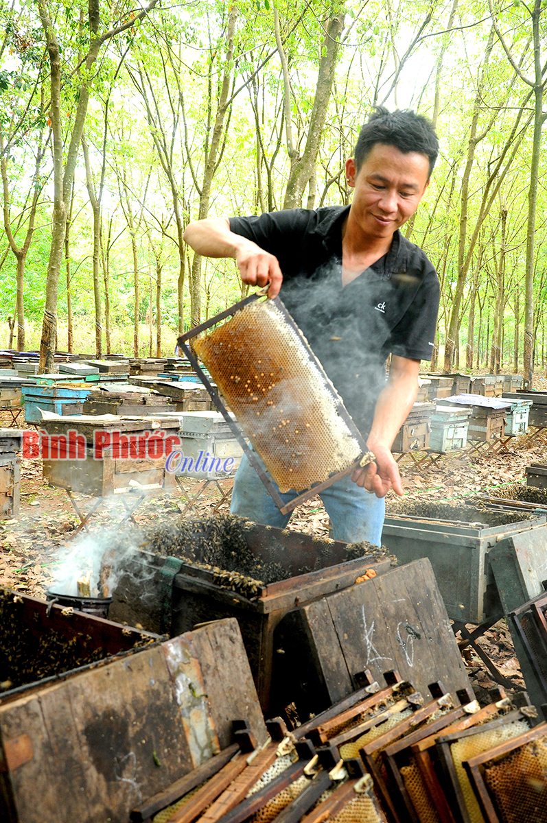 nh_3_ru_cho_ong_roi_khoi_cau_09552825042023.jpg