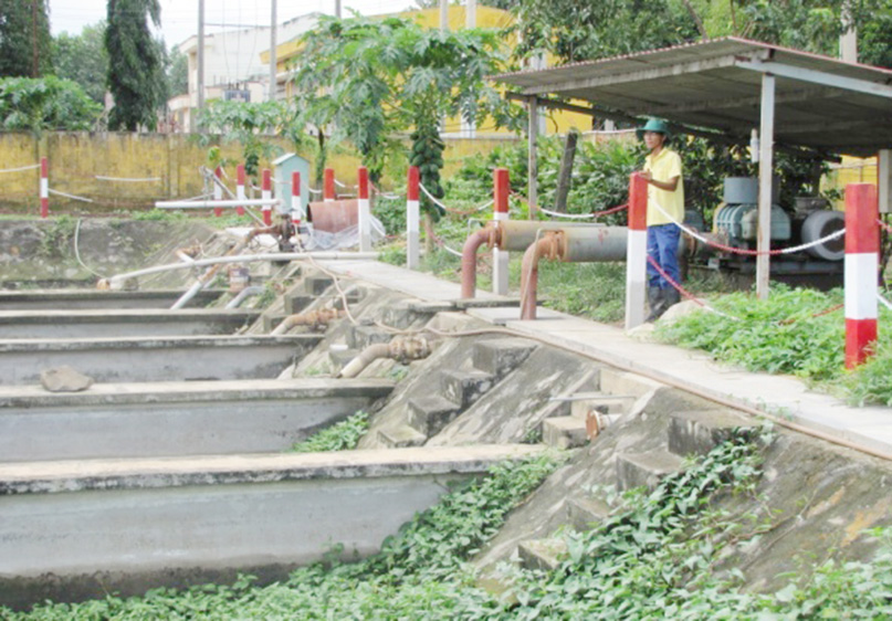 Bước đột phá ở Nhà máy chế biến trung tâm Bước đột phá ở Nhà máy chế biến trung tâm