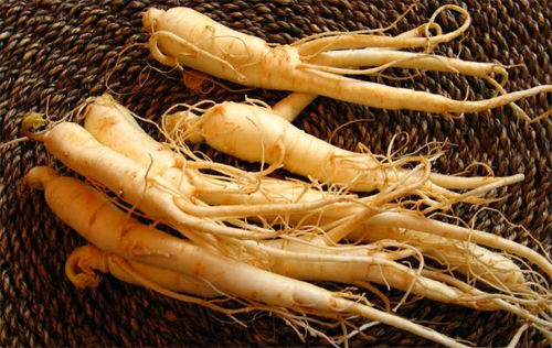 Muốn bán nhân sâm phải ghi rõ định lượng Muốn bán nhân sâm phải ghi rõ định lượng