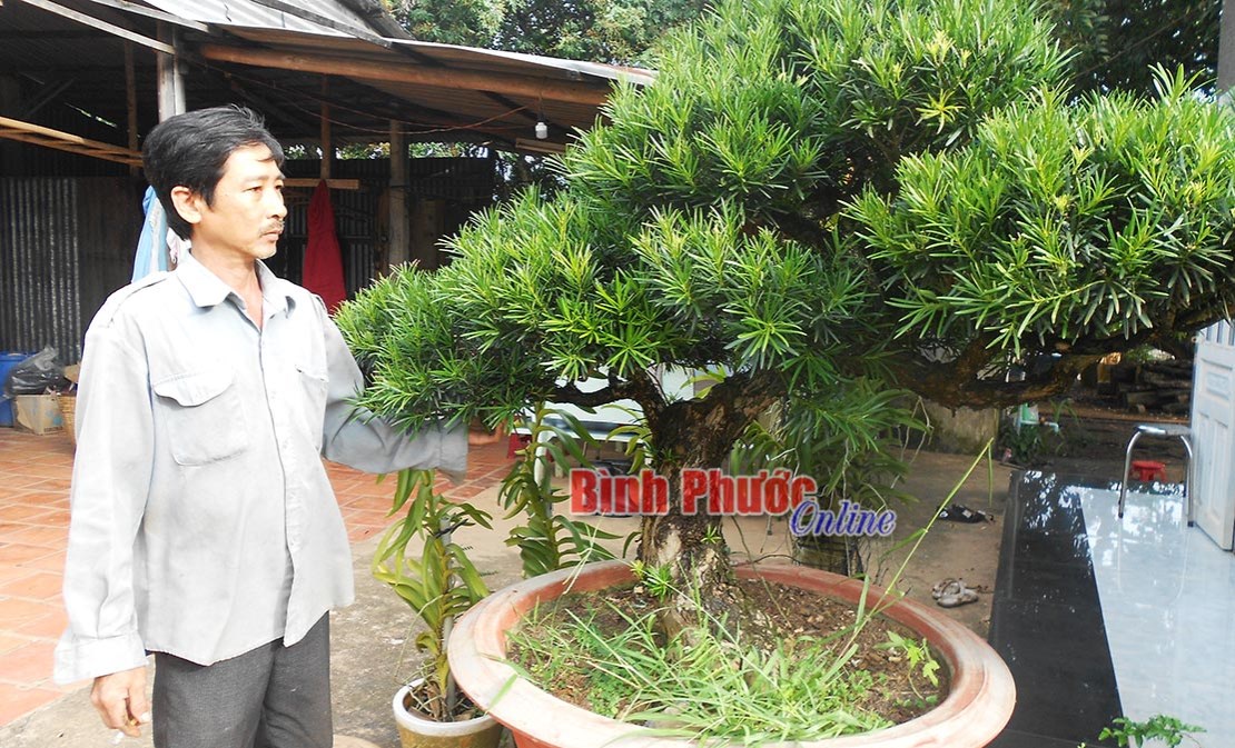 Nhà nông nhạy bén với thị trường Nhà nông nhạy bén với thị trường