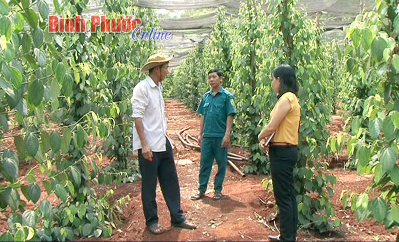 Nhà nông giỏi làm kinh tế, tích cực hoạt động từ thiện Nhà nông giỏi làm kinh tế, tích cực hoạt động từ thiện