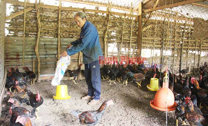 Nhà nông bật mí bí quyết làm giàu Nhà nông bật mí bí quyết làm giàu