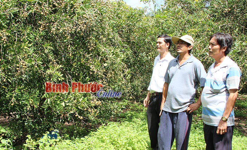 nhanxuong26062017030446.jpg