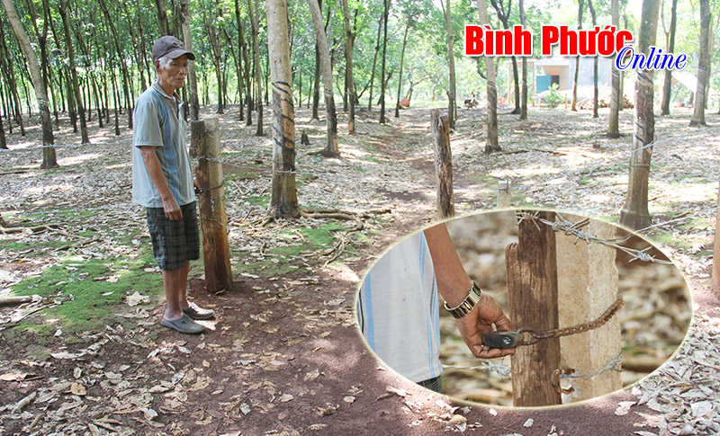 Nhiều khuất tất trong vụ án rào đường ở Bình Giai