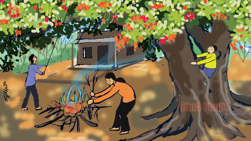 Nhớ mùi hạt điều mẹ nướng