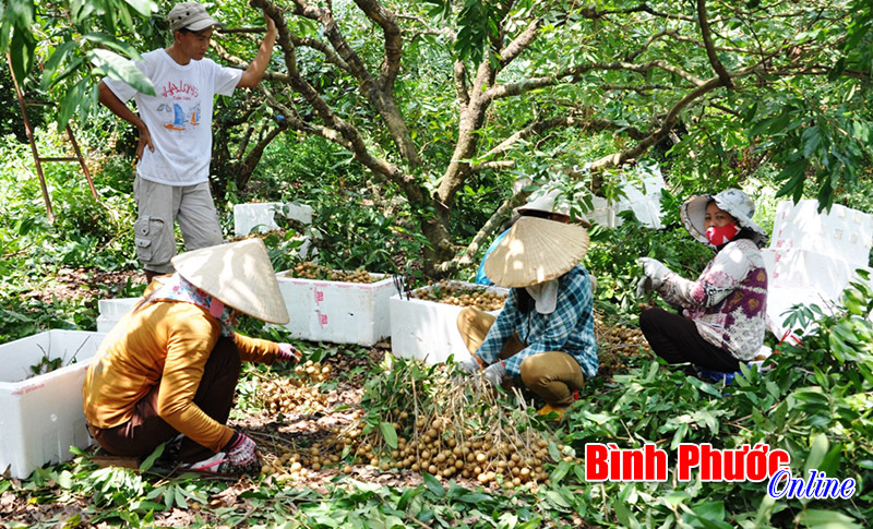 nhonnhipmuanhan2.jpg
