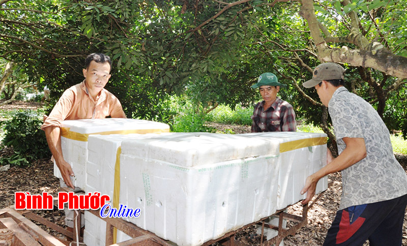 nhonnhipmuanhan4.jpg
