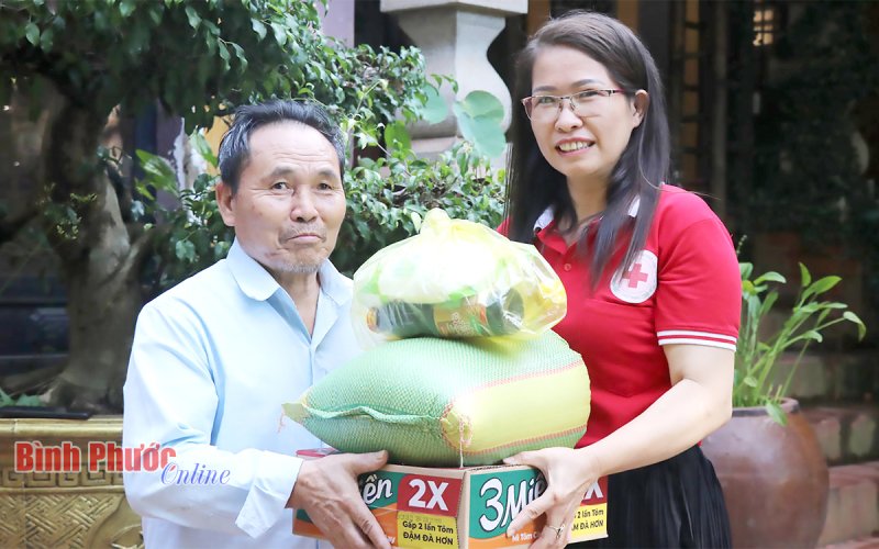 Những cánh chim không mỏi
