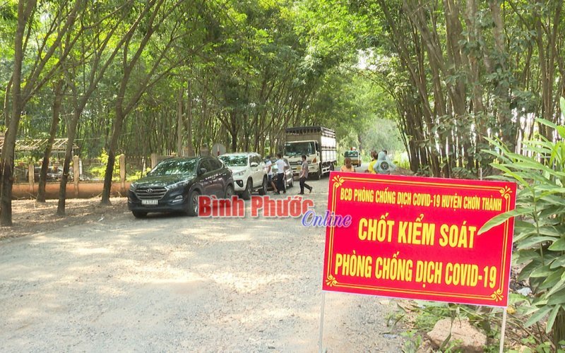 Những ngày cách ly Những ngày cách ly