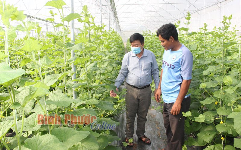 Những “ngọn đuốc” vùng dân tộc thiểu số - Bài 1