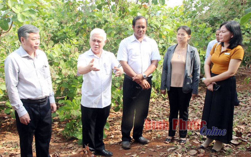 Những “ngọn đuốc” vùng dân tộc thiểu số - Bài cuối