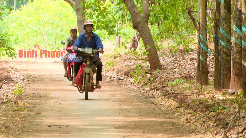 Những nông dân hào sảng