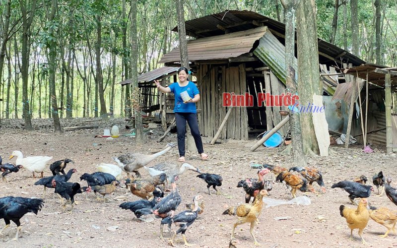 Những phụ nữ “hay lam, hay làm” Những phụ nữ “hay lam, hay làm”