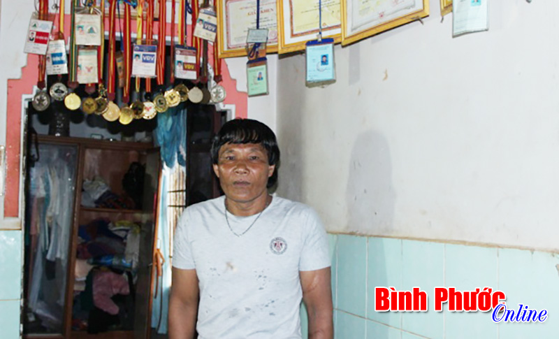 nhungcayno1.jpg