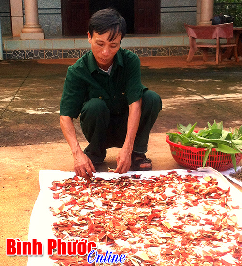 nhungcuuchienbinh1.jpg