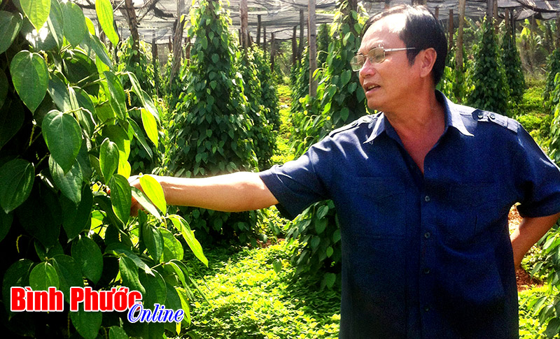 nhungcuuchienbinh2.jpg
