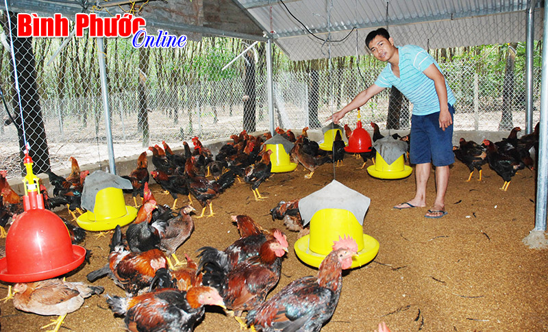 nhungkysutre.jpg