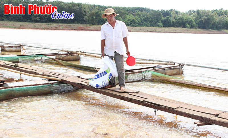 Những mô hình kinh tế hiệu quả ở Phước Long Những mô hình kinh tế hiệu quả ở Phước Long