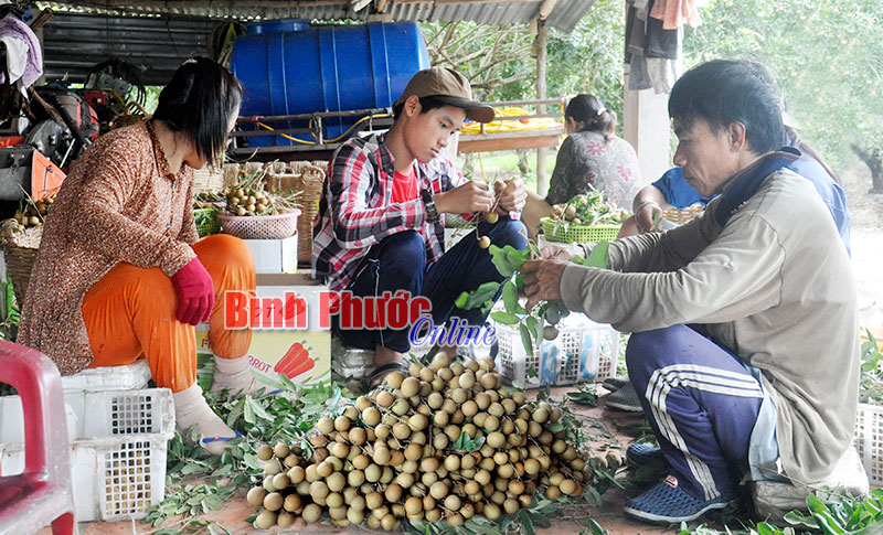 nhungnongdan1.jpg