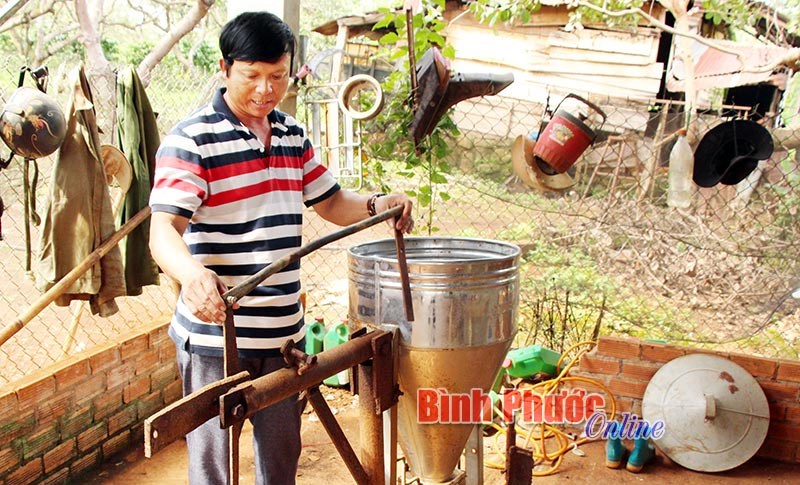 Những nông dân làm giàu từ cây điều
