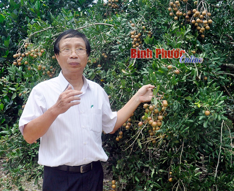 nhungnongdan2.jpg