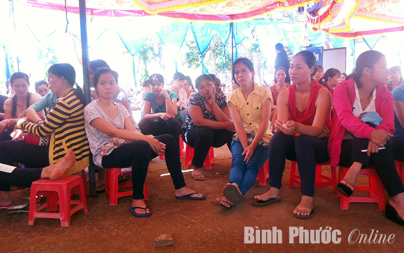 nhungsaipham.jpg