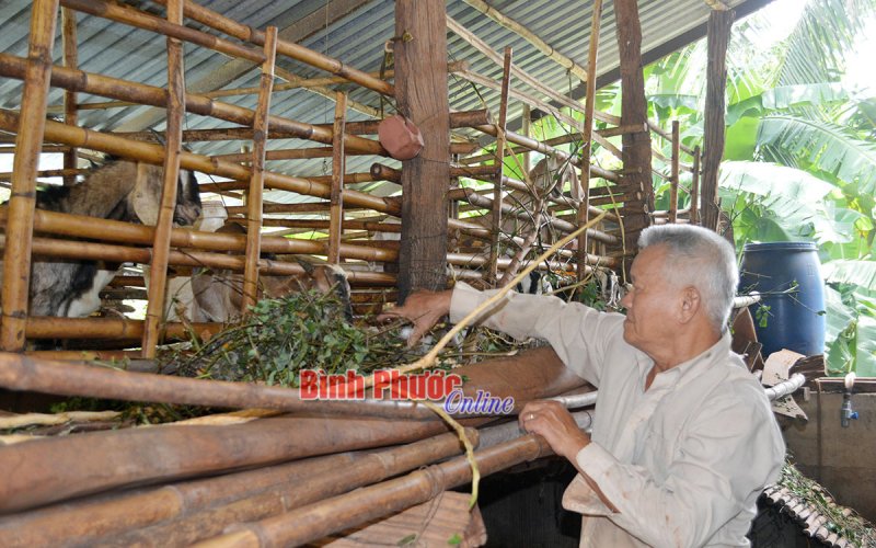 Niềm vui lao động