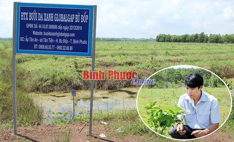 Niềm vui phía sau sổ đỏ Niềm vui phía sau sổ đỏ