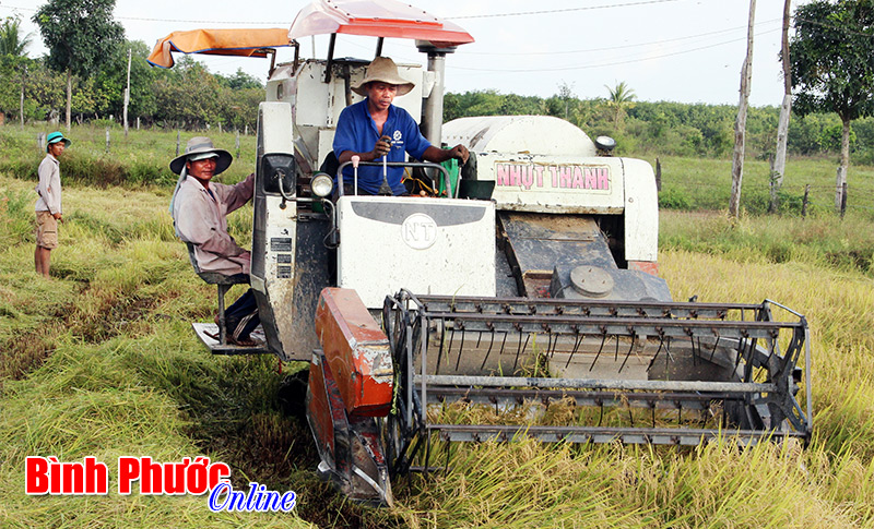 Niềm vui ngày mùa Niềm vui ngày mùa